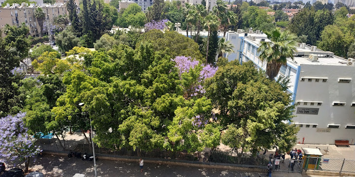 תמונה