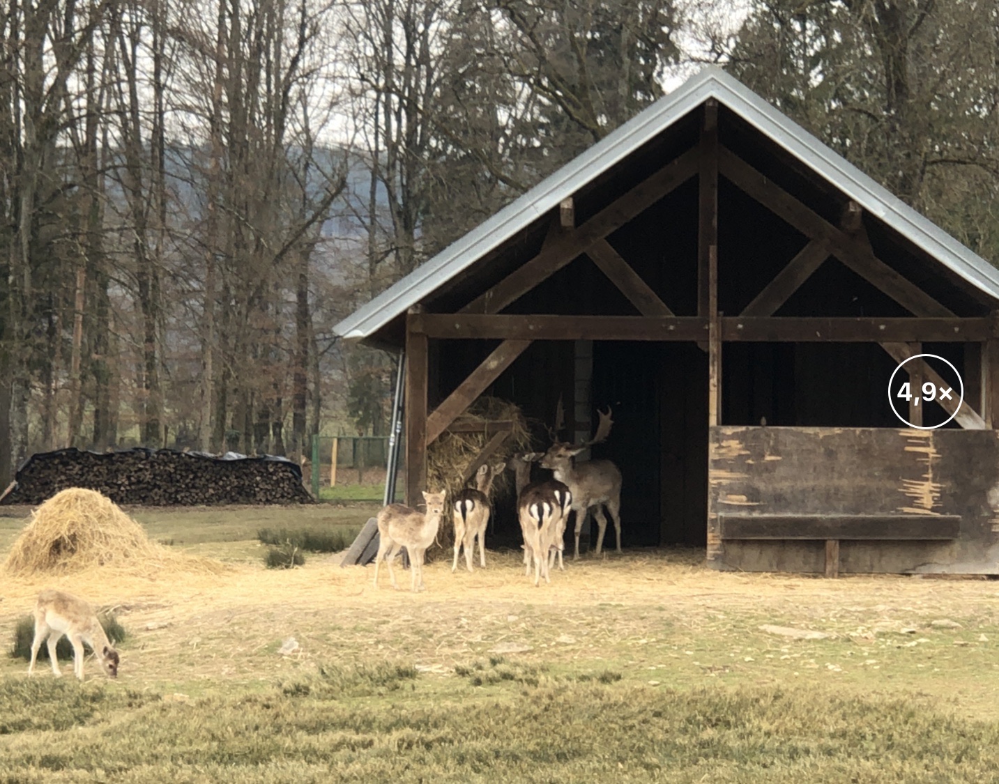 Photo n° 2 de l'avis de Emmanuelle.o fait le 13/03/2022 à 16:28