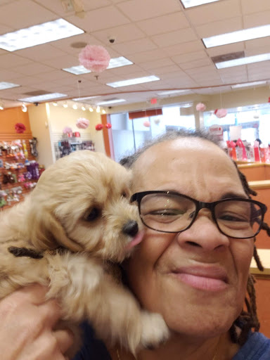 Pet Store «Fetch Pet Store», reviews and photos, 2700 Miamisburg Centerville Rd, Dayton, OH 45459, USA