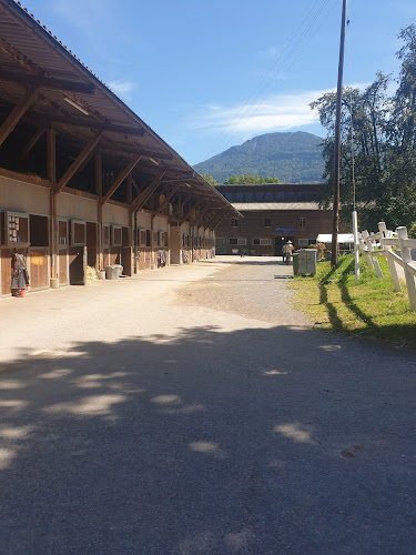 Rezensionen über Ecole d'équitation in Montreux - Schule