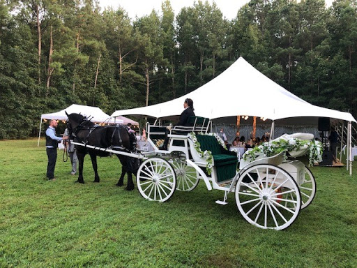 Carriage ride service Newport News