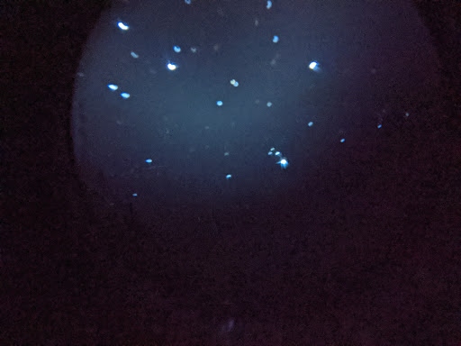 Observatory «Rafes Urban Astronomy Center», reviews and photos, 2350 Tom Cole Rd, Ponder, TX 76259, USA