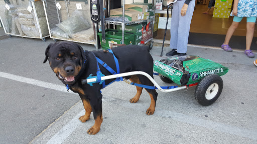 Pet Supply Store «Concord Feed Pet & Livestock Supplies», reviews and photos, 228 Hookston Rd, Pleasant Hill, CA 94523, USA