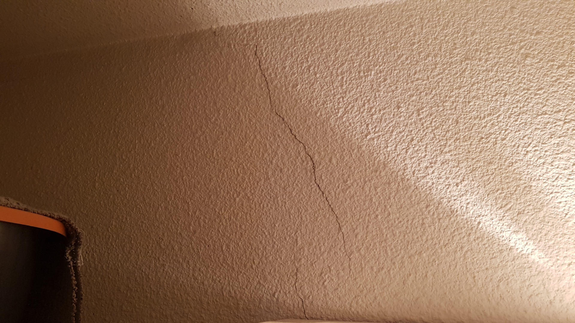 Photo n° 1 de l'avis de lion.a fait le 10/02/2019 à 07:34