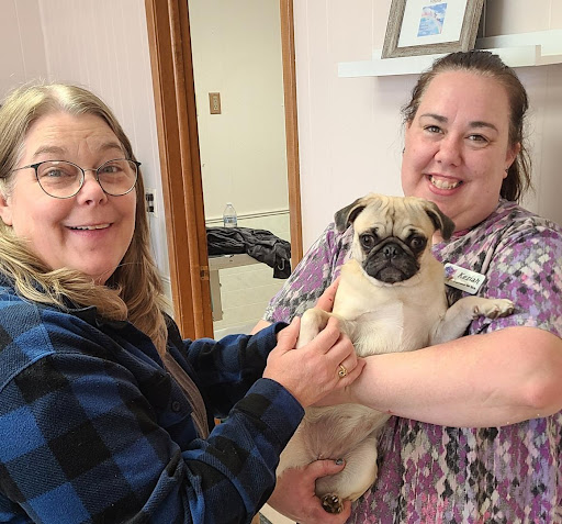 East Lawn Animal Hospital image