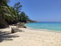 Φωτογραφία του Anse Intendance Beach και το όμορφο τοπίο του
