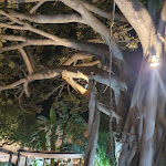 Photo n°13 de l'avis de Elisa. fait le 30/05/2023 à 16:15 sur le  Ristorante Il Pozzo à Catania