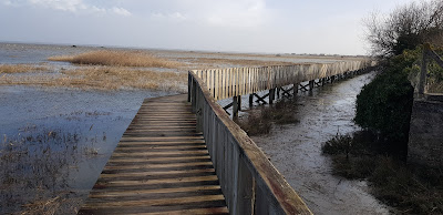 cabanes les blounges à Gujan-Mestras