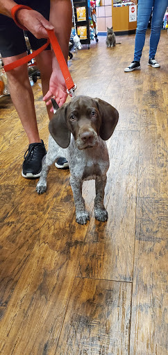 Pet Supply Store «EarthWise Pet Supply», reviews and photos, 7316 Yankee Rd, Liberty Township, OH 45044, USA