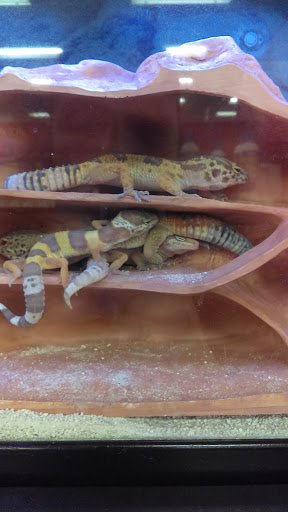 Pet Supply Store «Petco Animal Supplies», reviews and photos, 975 NW Gilman Blvd E, Issaquah, WA 98027, USA