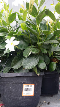 Garden Center at The Home Depot - Photo 4 - Car repair in Toledo, OH, Toledo