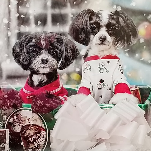 Pet Supply Store «Phydeaux», reviews and photos, 2535 Atlantic Ave, Raleigh, NC 27604, USA