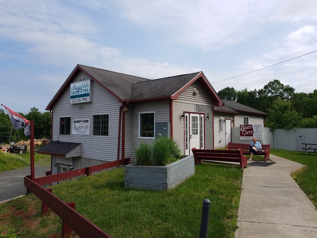 Buzz Cutz Salon and Spa 18328