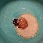 Photo n°6 de l'avis de Valentina.i fait le 26/03/2019 à 23:18 sur le  Glass Hostaria à Rome