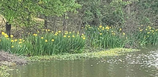 Country Club «West Fork Golf & Country Club», reviews and photos, 1 Golf Rdg, Conroe, TX 77304, USA