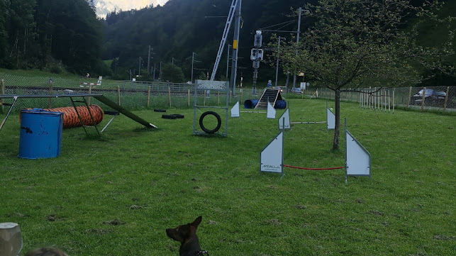 Tämis Hundeschule + Betreuung