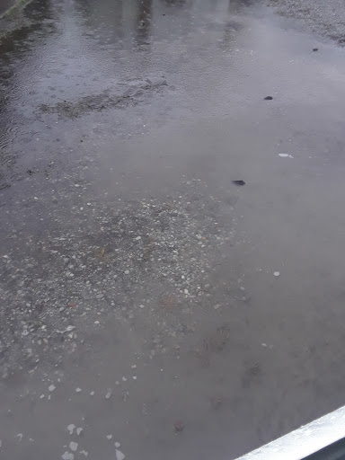 Real Estate Agency «ERA American Shalimar Real Estate Sales & Rentals», reviews and photos, 4 9th Ave, Shalimar, FL 32579, USA