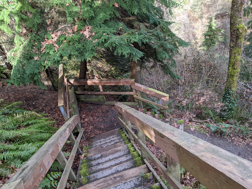 Park «Ravenna Park», reviews and photos, 5520 Ravenna Ave NE, Seattle, WA 98105, USA