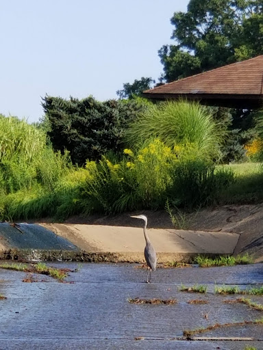 Golf Club «Springfield Golf & Country Club», reviews and photos, 8301 Old Keene Mill Rd, Springfield, VA 22152, USA