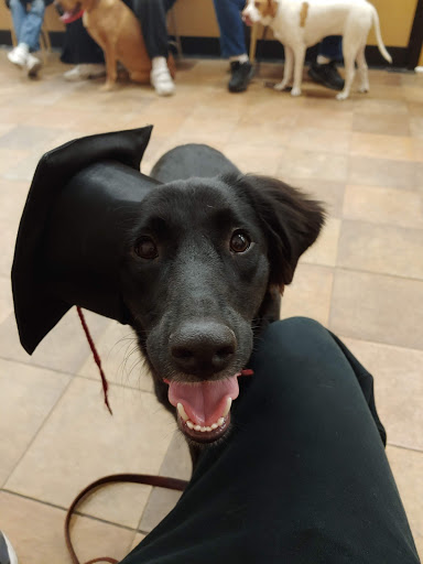 Pet Supply Store «PetSmart», reviews and photos, 1232 Hooper Ave, Toms River, NJ 08753, USA