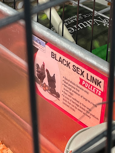 Home Improvement Store «Tractor Supply Co.», reviews and photos, 150 New London Rd, Colchester, CT 06415, USA