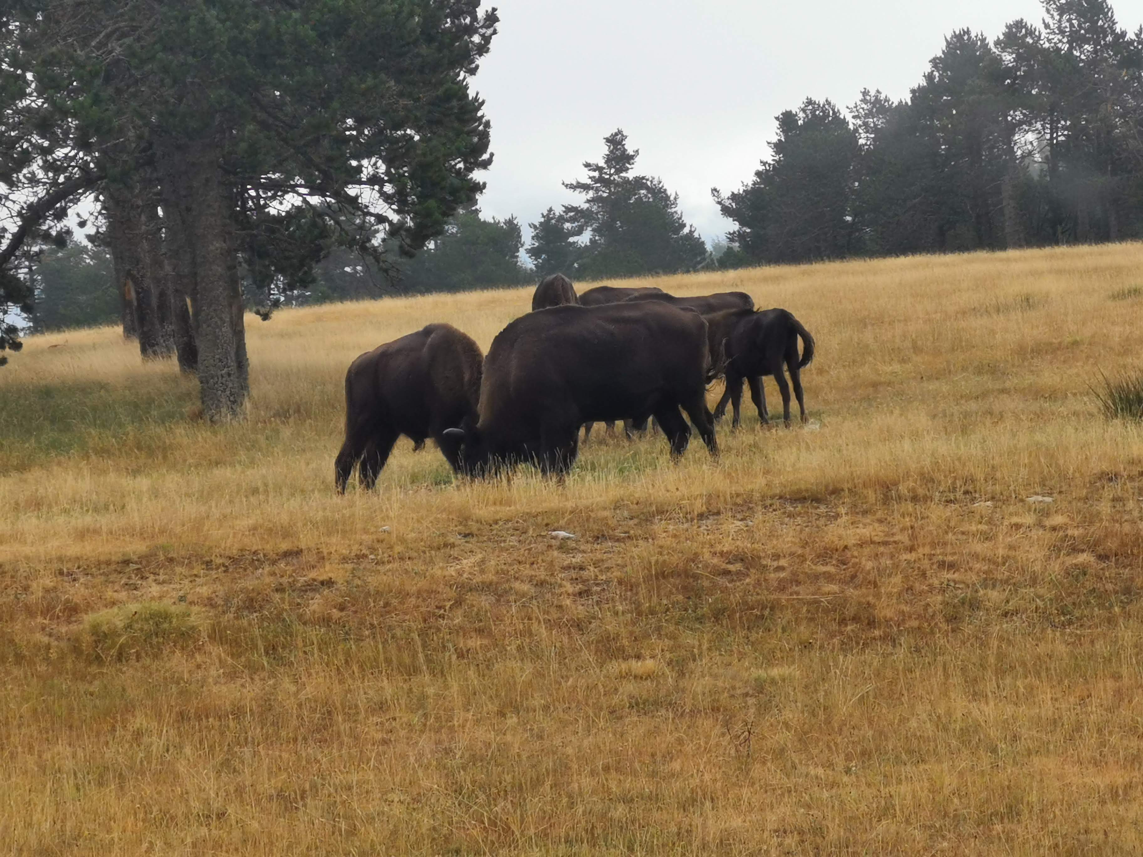 Photo n° 3 de l'avis de Sandrine.e fait le 09/08/2019 à 14:07
