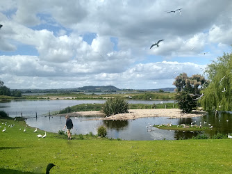 The Kingfisher Cafe at Castle Espie