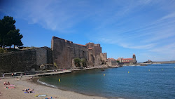 Port d'Avall beach'in fotoğrafı imkanlar alanı