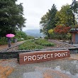 Prospect Point Lookout