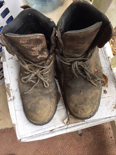 Shoe Store «Red Wing», reviews and photos, 11614 N Dale Mabry Hwy, Tampa, FL 33618, USA