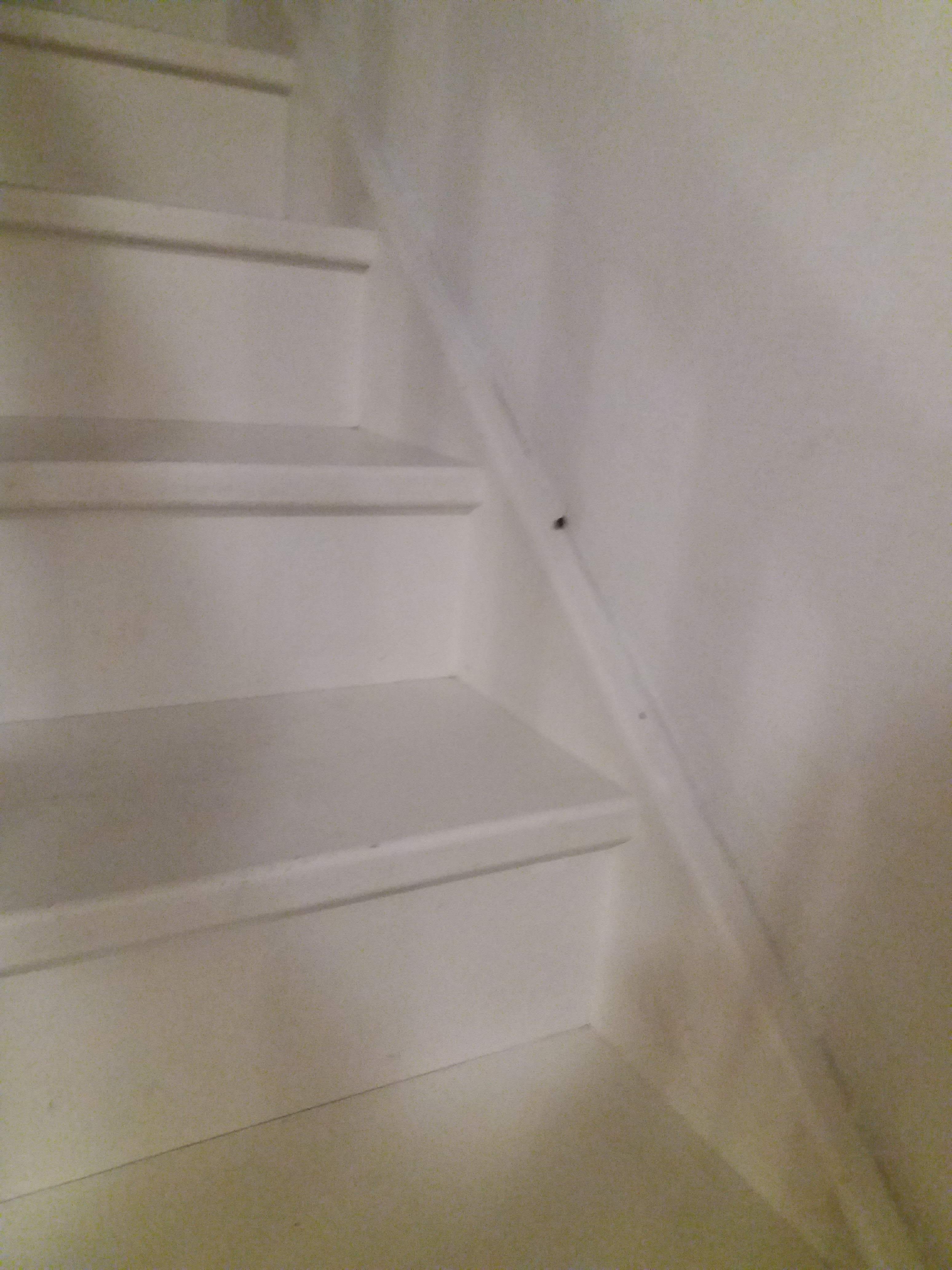 Photo n° 14 de l'avis de L'.n fait le 01/07/2018 à 12:27
