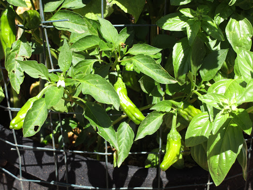 Mobile Home Park «Twin Buttes Mobile Home & RV Court», reviews and photos, 4027 N Twin Buttes Ct, Douglas, AZ 85607, USA