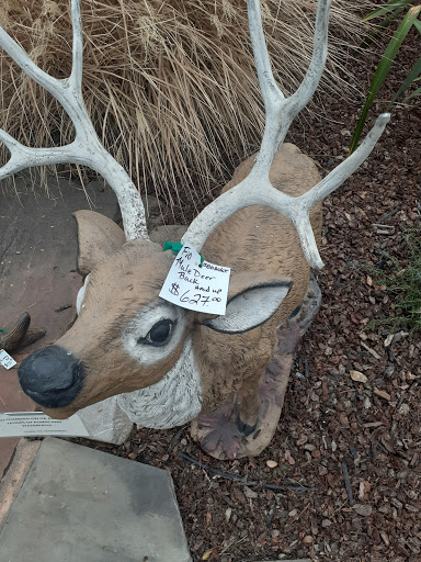 Building Materials Store «Silverado Building Materials», reviews and photos, 9297 Jackson Rd, Sacramento, CA 95826, USA