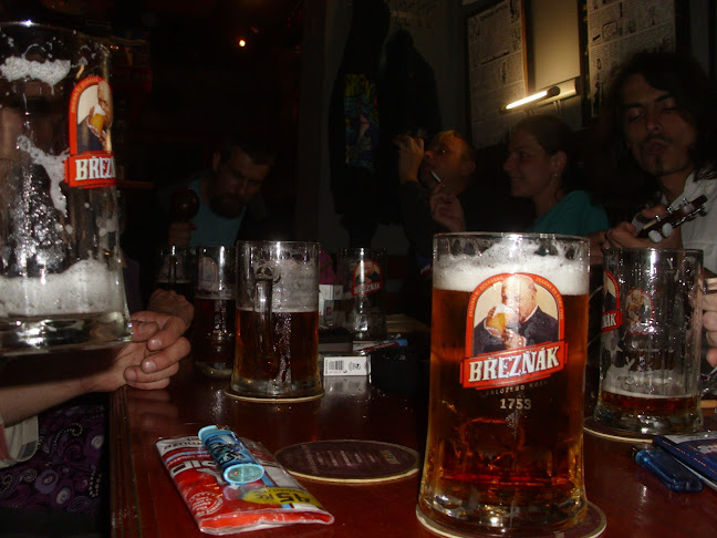 Recenze na Pivnice Bar Hamburg v Ústí nad Labem - Bar