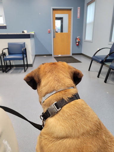 1055 Denise Rd, Rochester, NY 14616, USA