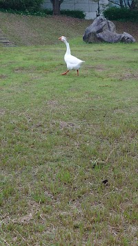 屋代ダム公園