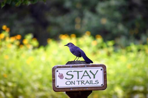 Craft Store «Michaels», reviews and photos, 2130 Nesconset Hwy, Stony Brook, NY 11790, USA