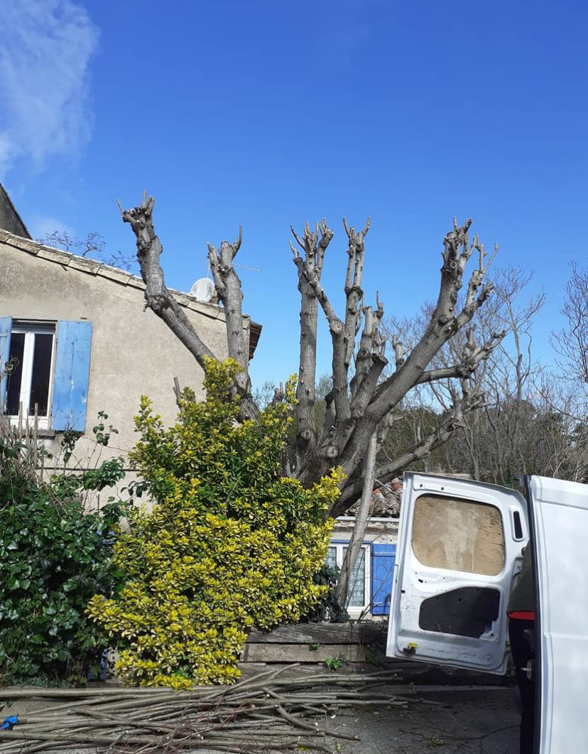 Photo n° 5 de l'avis de Ghost.h fait le 26/12/2023 à 08:52