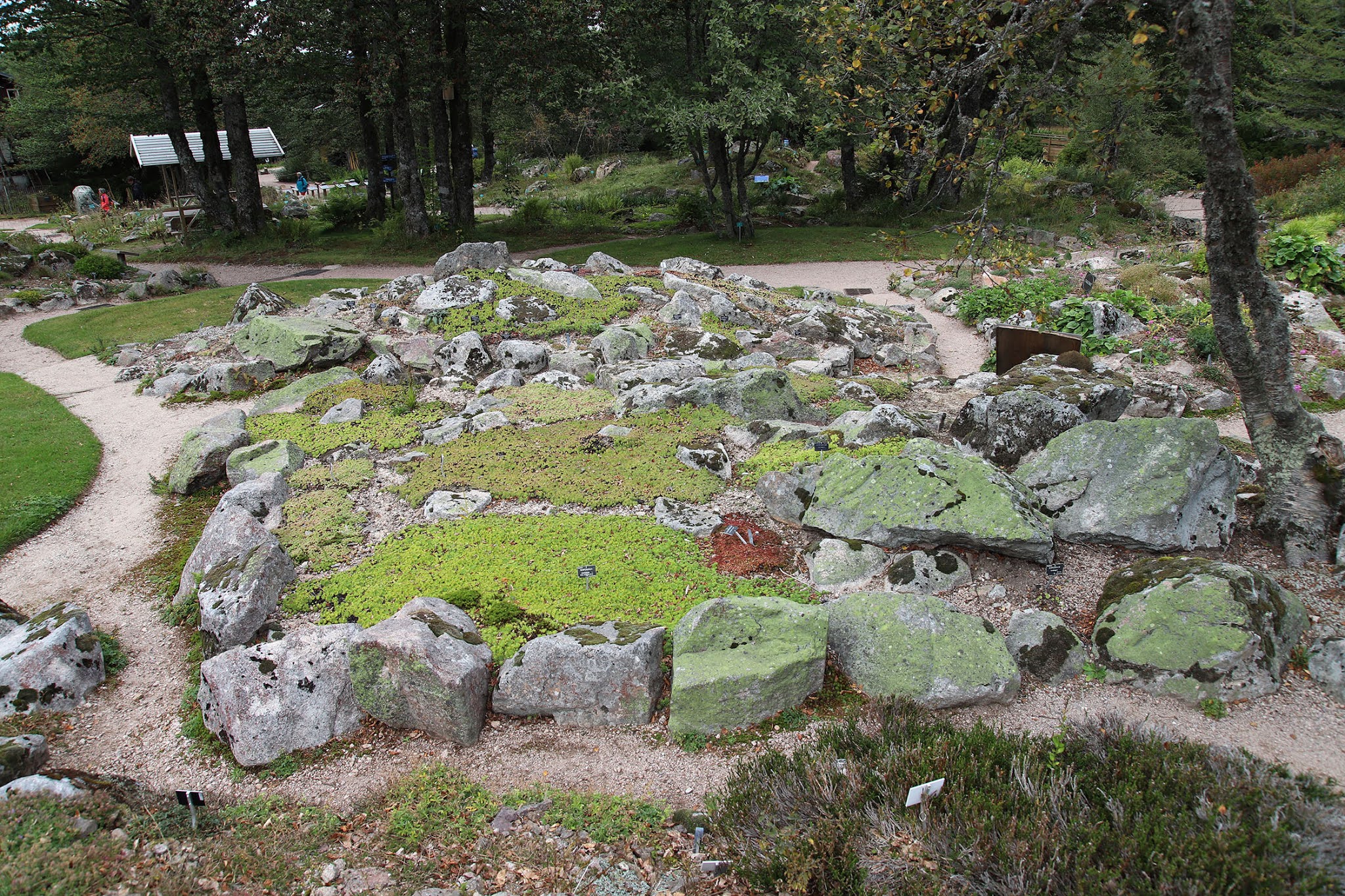 Photo n° 9 de l'avis de Hervé.E fait le 11/09/2020 à 06:16