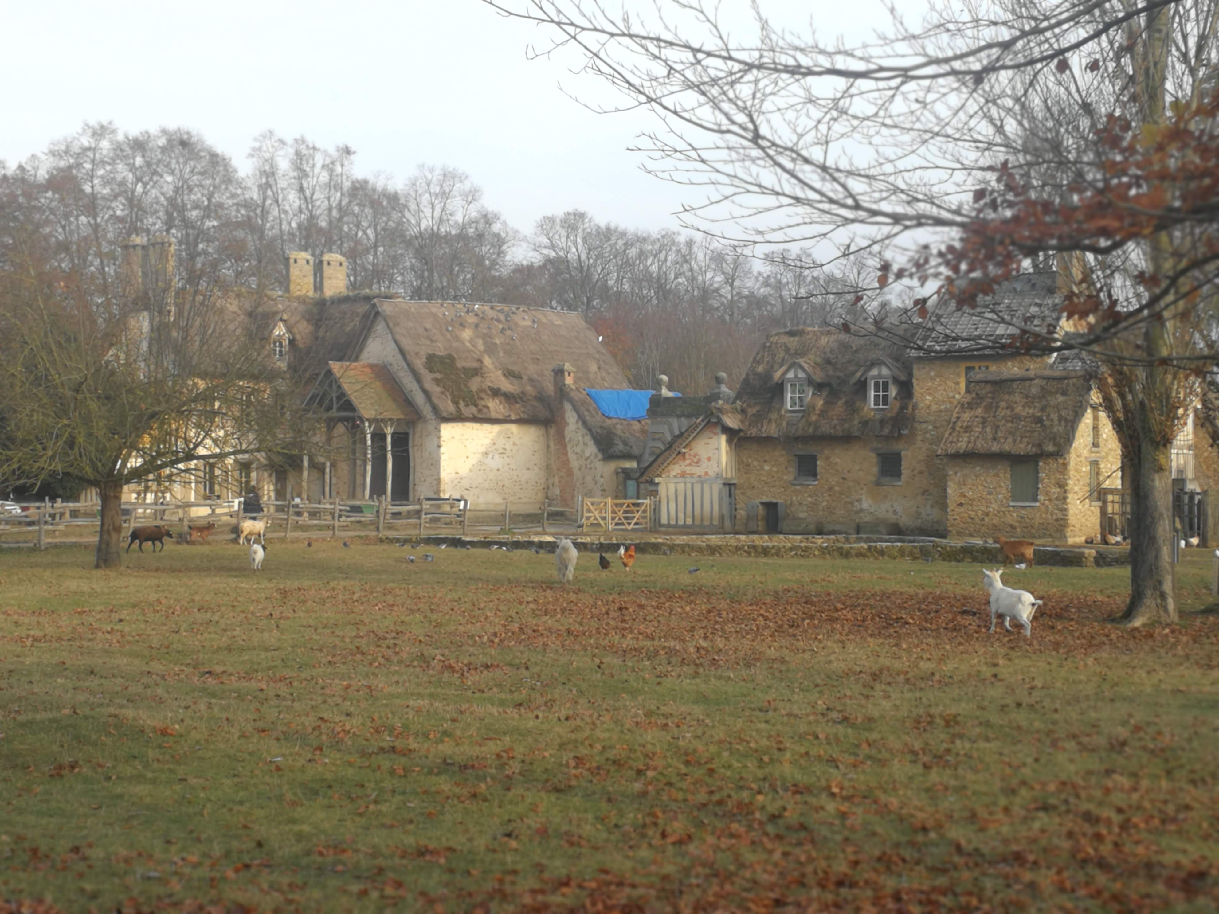 Photo n° 3 de l'avis de David.o fait le 28/12/2018 à 16:17