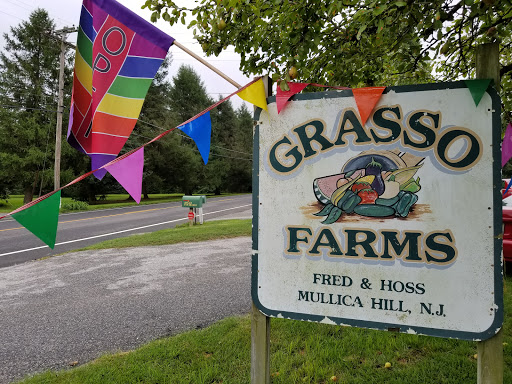 Grocery Store «Grasso Girls Farm Market», reviews and photos, 353 Wolfert Station Rd, Mullica Hill, NJ 08062, USA