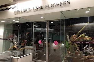 Geranium Lake Flowers image