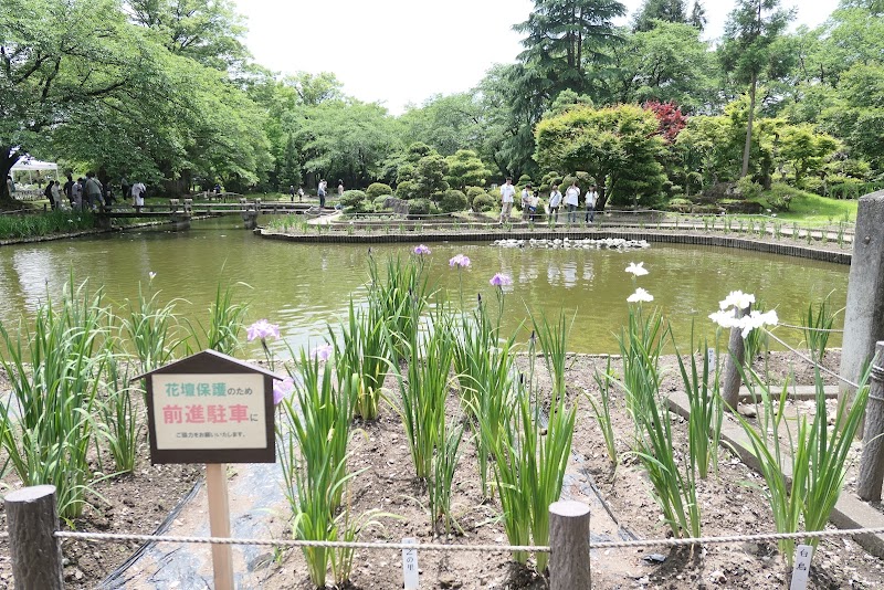 伊佐須美神社外苑 あやめ苑