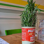 Photo n°1 de l'avis de Nick.a fait le 13/06/2023 à 16:18 sur le  Mister Pizza à Florence