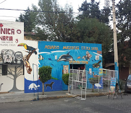 The Fish Garden photo