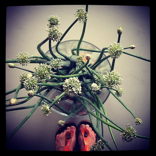 Restaurant «ComfortFood and kitchenette», reviews and photos, 437 Alden Ave, Morrisville, PA 19067, USA