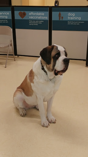 Pet Supply Store «Petco Animal Supplies», reviews and photos, 101 Hale Rd, Manchester, CT 06042, USA