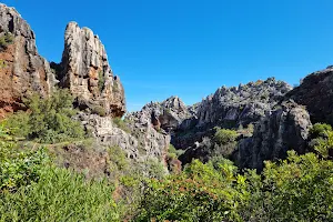 Cerro del Hierro image