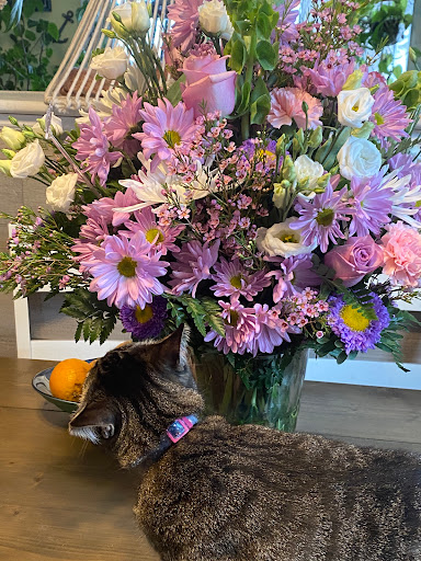 Florist «Art Floral Shoppe», reviews and photos, 335 NJ-35, Red Bank, NJ 07701, USA