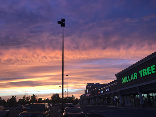 Dollar Store «Dollar Tree», reviews and photos, 83 S White Horse Pike, Hammonton, NJ 08037, USA